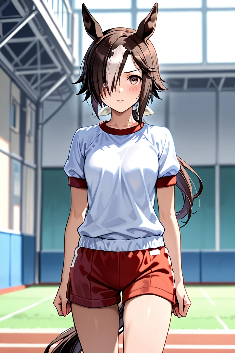 highest quality、masterpiece、Brown ponytail、A cheerful girl、boyish、Brown eyes、16-year-old high school student、Sportswear、Shorts、Big Breasts、Sports Club、Hair Shine、Tear bags、double eyelid、Long eyelashes、Droopy eyes、Pink Lips、Stand in front、My ???、whole body、White background