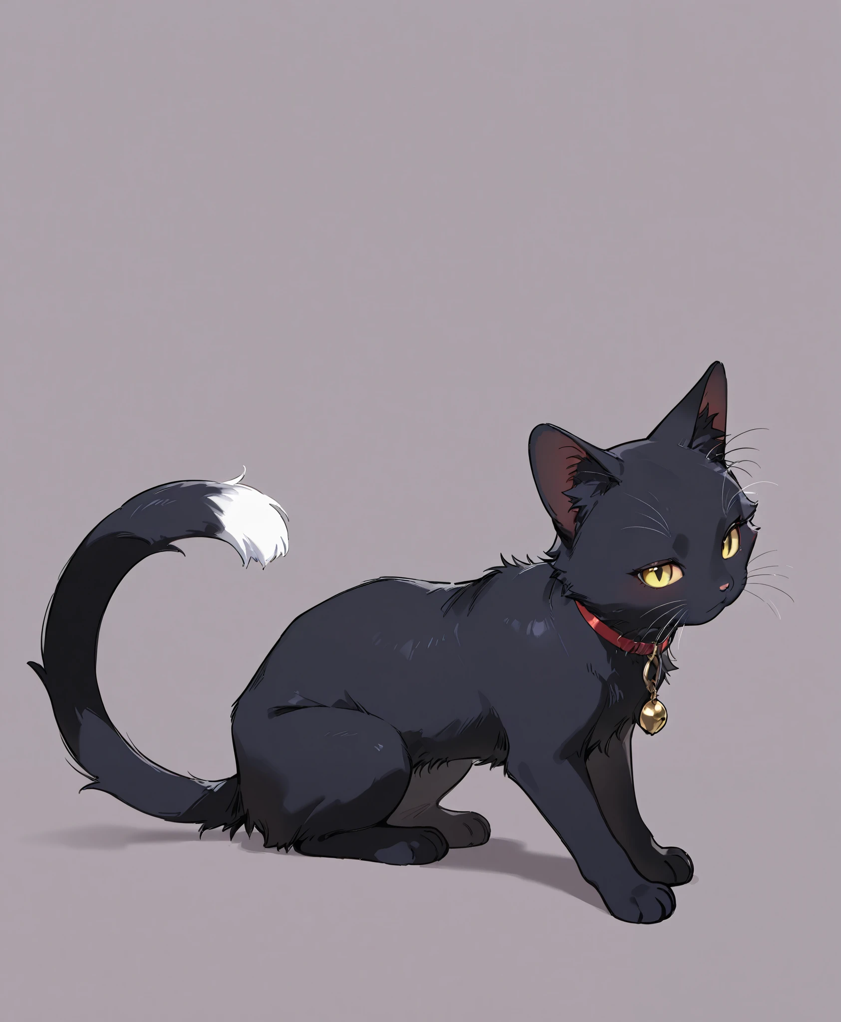 full body、high image quality、Superb Details、simple background、Black Cat