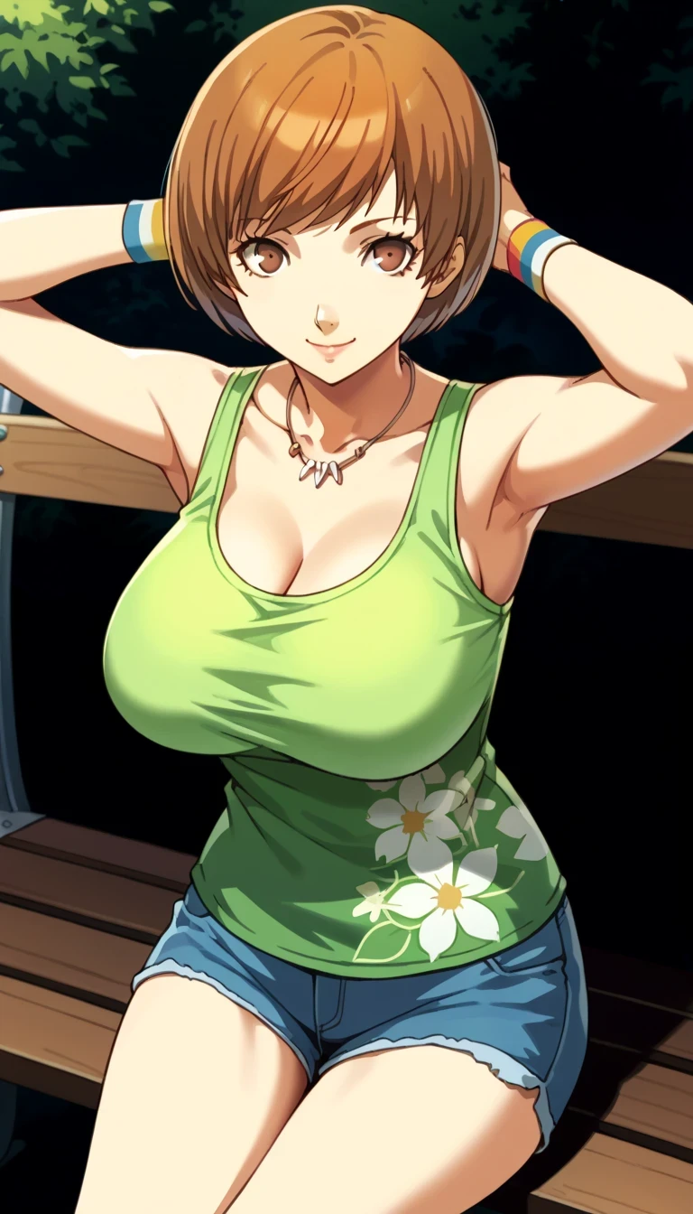 score_9, score_8_up, source_anime
1 girl, solo, cute face,
p4chie, satonaka chie, short hair, brown hair,
p4chie-sumcas, jewelry, necklace, tank top, green tank top, floral print, bare shoulders, collarbone, wristbands, multicolor wristbands, short shorts, blue shorts,
outdoors, park, sitting, bench, smile, hands behind head, looking at viewer,
masterpiece, best quality, ultra detailed,gigantic breasts,dynamic angle