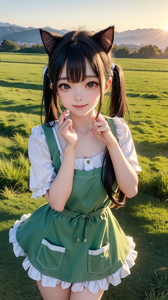 (Best Quality、Mastepiece:1.2)、One girl、Solo、Long Hair、Black Hair、Twin tails、Charm_Ear、Light Green Dress、Charm、12 years old、Highly detailed eyes and face、Eyes with beautiful details、Flower field、A shy smile.(Petite、Being thin、Slender:1.2)