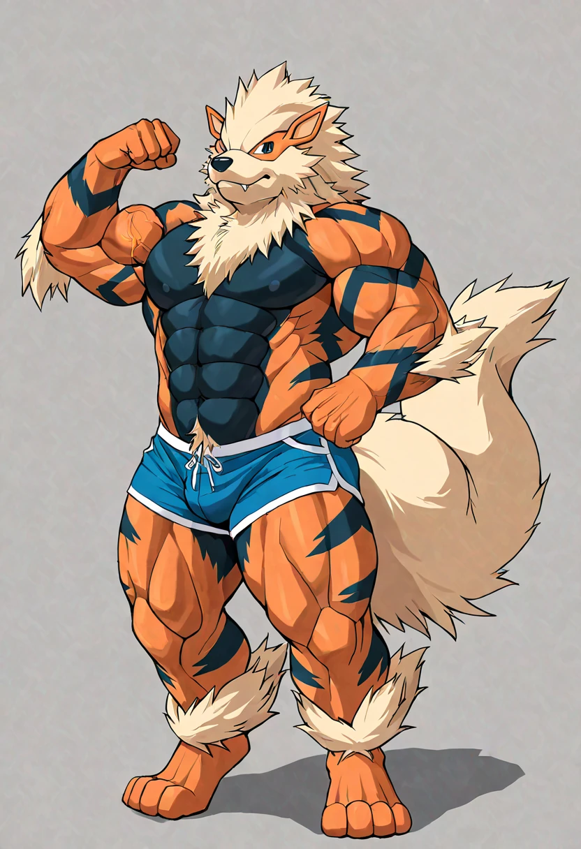 arcanine, 4k, high resolution, best quality, posted on e621, solo, anthro body, male, adult, bare torso very masculine, (very muscular, well defined muscles, strong pectorals, pecs, muscular arms, muscular legs, heavyweight:1.2), correct anatomy, (white background, no background:1.2), (by wfa:1.2), (by Pokkuti, by negger:1.0), (speedos:1.0), (detailed eyes:1.2), (cel shaded, flat coloring, flat shading, detailed shading, backlight:1.2), confident, proud, (full body:1.3), wolf legs, spread legs, clenched fists