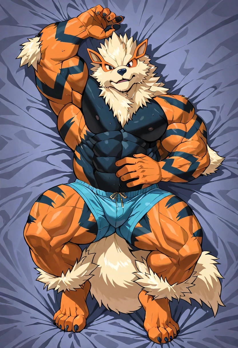 arcanine macro, muscular, naked, erect penis, gigates, in a tight room, small bedroom, arcanine giants tight, body trapped across the room, highlights the size of arcanine, 