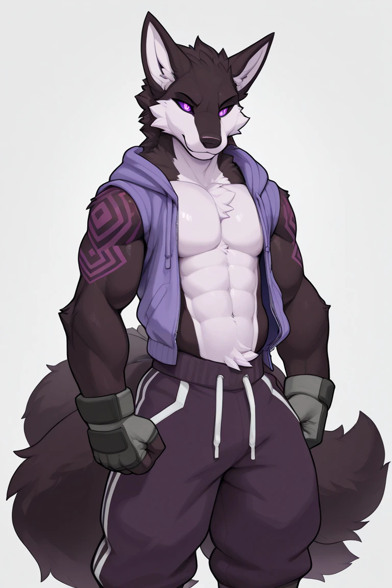 Furry, Anthro, Arctic Wolf with purple accents, Male, E621, Standing, Muscular, Hands behind back, Wearing underwear, Plain background, Front view, Light fur
