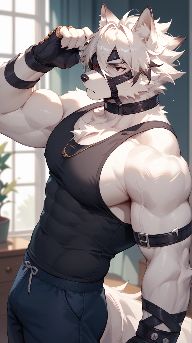 masterpiece,high quality,An anthropomorphic male wolf with blue eyes and blue-white fur,Smiling emoticon,hansome,(young)AND(Strong),(muscular),Wearing a black and gold collar around the neck,Wearing black casual short-sleeved shirt and white sports shorts,(Fluffy fur:1.2),(bright:0.8),panoramic,brighteyes,character focus,Detailed background,(indoor,Basketball Stadium),Has fine hand details and facial expressions,Fine facial details,Compared to the background characters, they are muscular and strong.,Compared to the background characters, they are huge,Compared to the background characters, he has a hansome face.,8K quality,high quality的masterpiece,number(artwork),Facing the right side of the screen,(play basketball,Sweating,Dribbling),(Body hair,Wolf nose:1.2),With fine basketball details,Very detailed,Correct ???????,Unparalleled muscle texture details,Half of the eight-pack abs exposed,Muscles soaked with sweat