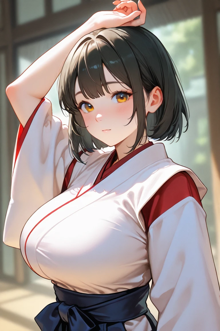 (Masterpiece、Highest quality、Very detailed、4K)、One Woman、17 years old、((((Karate))))、Large Breasts exposed 