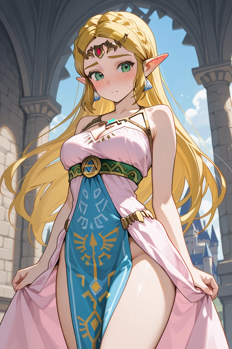 So Sexy and hot Princess Zelda in long dress