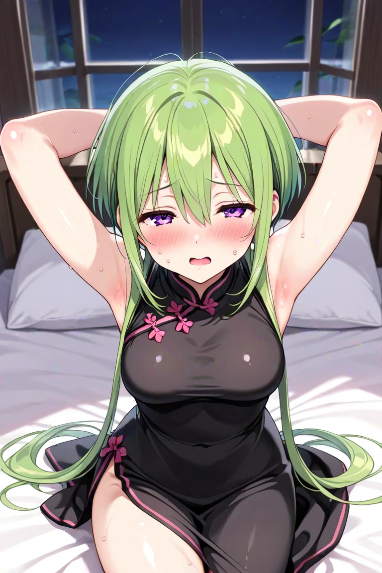 ((masterpiece,Highest quality:1.3)),ass pov,having sex,man on top,1woman、30 year old beauty、独奏,(very small head:1.3),green hair,(low ponytail),long hair,blunt bangs,green eyes,gorgeous eyes,tears、Pain、open mouth,drooling,medium breasts,(very long body:1.2),(toned body,slender body,skinny),gleaming skin,shiny skin,oily skin:1.3,topless,nipples,spread legs:1.3,(Blood spurting from the vagina:1.5),Simple bed、No-frills motel、World of Blade Runner、nsfw,