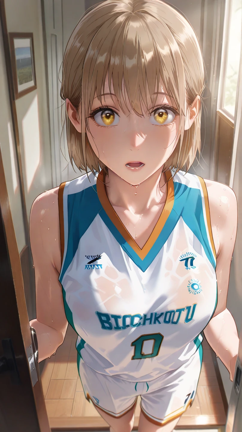 NSFW,(pale illustration,anime illustrations:1.2),(masterpiece, highest quality, so beautiful, Super detailed),textured skin, high details,8k,gleaming skin,pale outline

(hachimiya meguru, idolmaster:1.2),gold hair,

1 girl,(black Thighhighs:1.3),middle breasts,shorty,happy smile,
Basketball Uniform,standing,
from front,white and clean bedroom