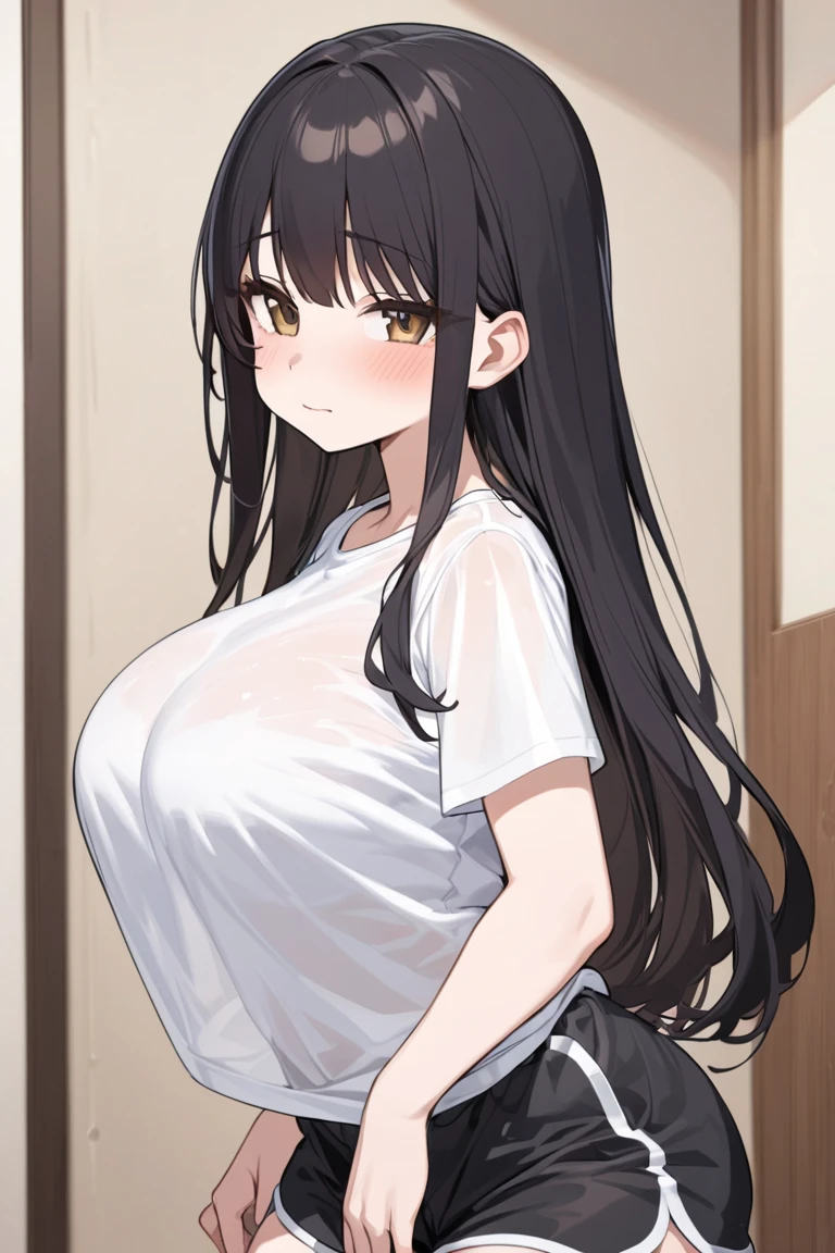 cute,Beauty,Embarrassed,Black Hair,Plump,Big Breasts,Three white eyes,Oversized T-shirt,
