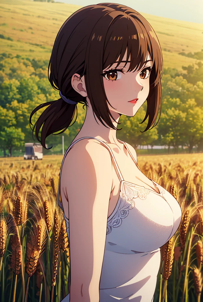(Masterpiece :1.4),, (Best Quality:1.4),, super high resolution,, 8 thousand, CG,, ( Extremely delicate and beautiful :1.2),, , upper body,, From the side Side,, watch the audience,, , 1girl,, alone,, fashionable girl,, Mature girl ,, , cute big breasts, Sweet,, , In the wheat field,,  light particules ,, , Long brown hair,, pony tails,, ,  brown eyes,,  Keep one's mouth shut ,, Redlip,, , windswept face,, ,  white ,, medium ,