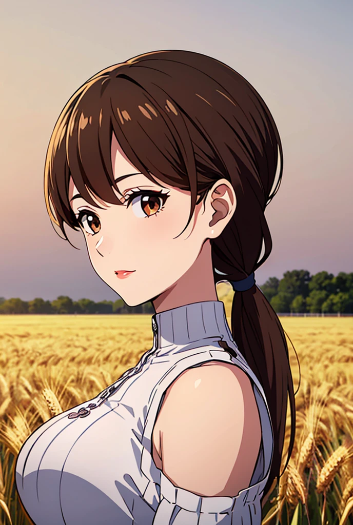 (Masterpiece :1.4),, (Best Quality:1.4),, super high resolution,, 8 thousand, CG,, ( Extremely delicate and beautiful :1.2),, , upper body,, From the side Side,, watch the audience,, , 1girl,, alone,, fashionable girl,, Mature girl ,, , cute big breasts, Sweet,, , In the wheat field,, light particules ,, , Long brown hair,, pony tails,, , brown eyes,, Keep one's mouth shut ,, Redlip,, , windswept face,, , white ,, medium ,