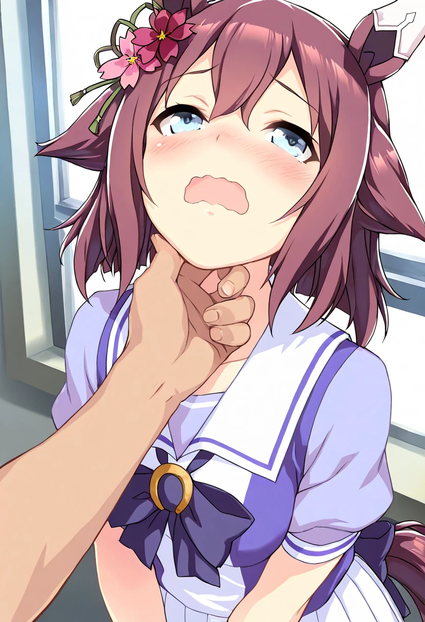 1girl, holo, brown hair,long hair,red eyes, wolf girl,wolf ear,wolf tail, cum on face, penis