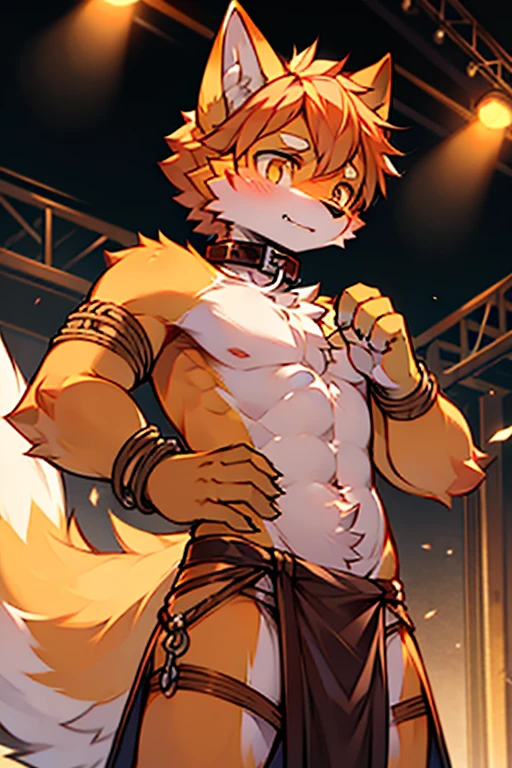 masterpiece, solo, 1boy, Furry, kemono, furry wolf, anthropomorphic, male, navy fur, navy skin, green eyes, slave collar, yellow sexy clothes, strip club, femboy, uploaded on e621,