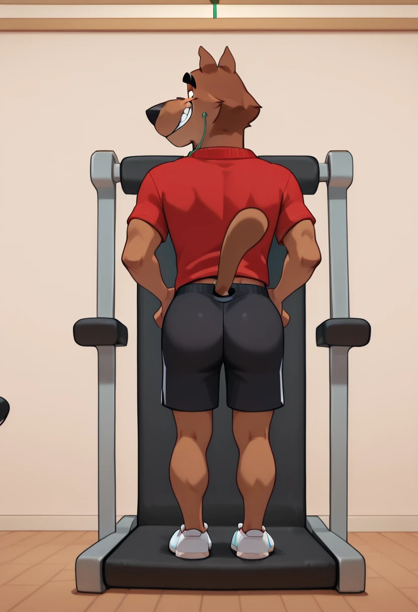 furry wearing pull-ups training pants 
