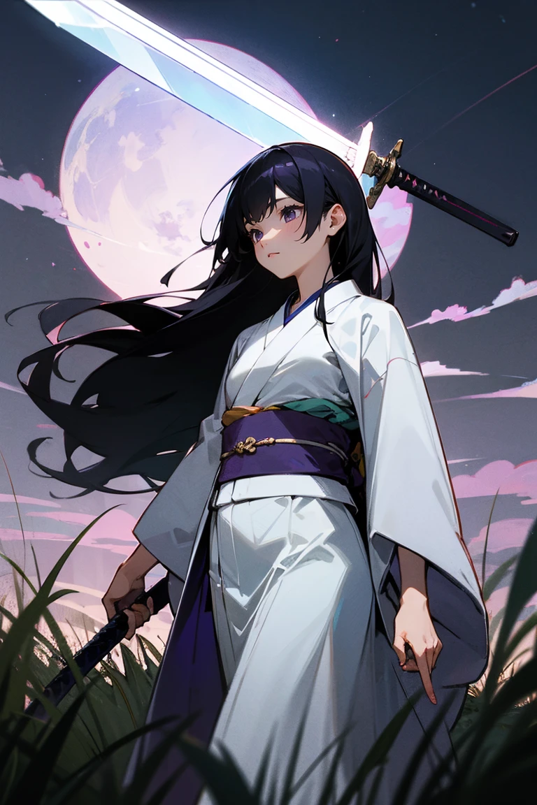 (masterpiece), best quality, expressive eyes, perfect face perfect anatomy, absurdres,
1girl, long hair, blue hair, grey eyes, medium breast, japanese clothes, Ninja, Thighhighs, holding Katana,
Outdoors, night, moon,