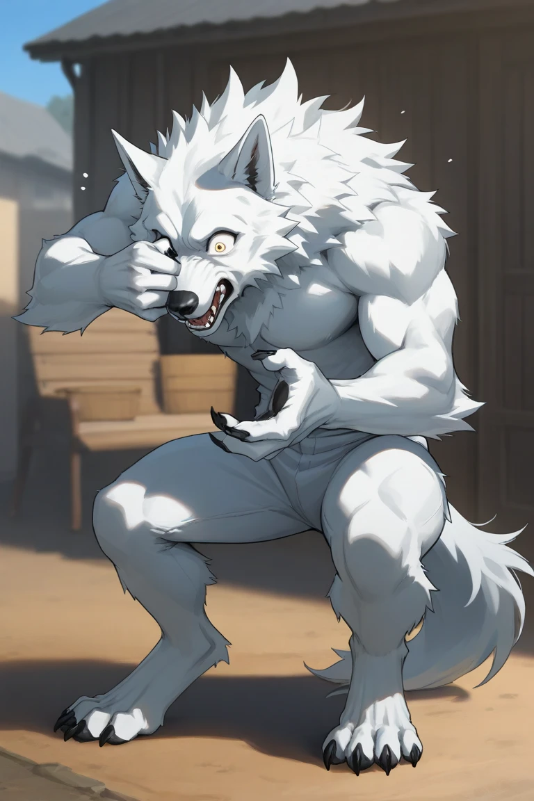hairy，Fury，Wolf，muscle，leggings，stick out tongue