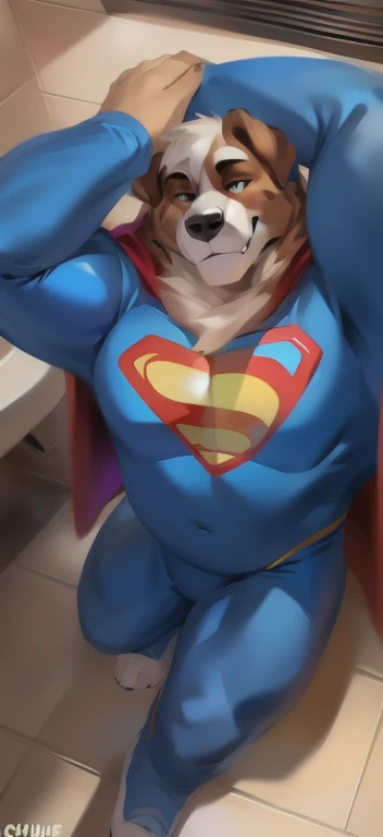 william adler, solo, male focus, naked , full body, wearing a superman costume, lying on the bed, detailed bulge, wolf ears, beard