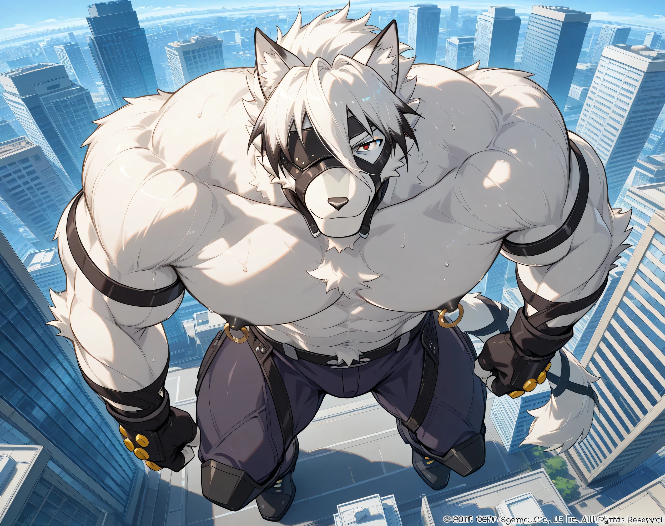 detailed background, high view, city, solo BREAK score_9_up,score_8_up,score_7_up,score_6_up,score_5_up,score_4_up BREAK kemono, bara, furry, 1boy, Lycaon, white fur, white hair, animal ears, tail, eye patch, red eyes, male, huge muscular, male, very broad chest, broad shoulders, macro, posing, bedroom eyes, sweaty, serious, smile, looking at viewer, topless, gloves, huge black nipples, huge gold nipple rings