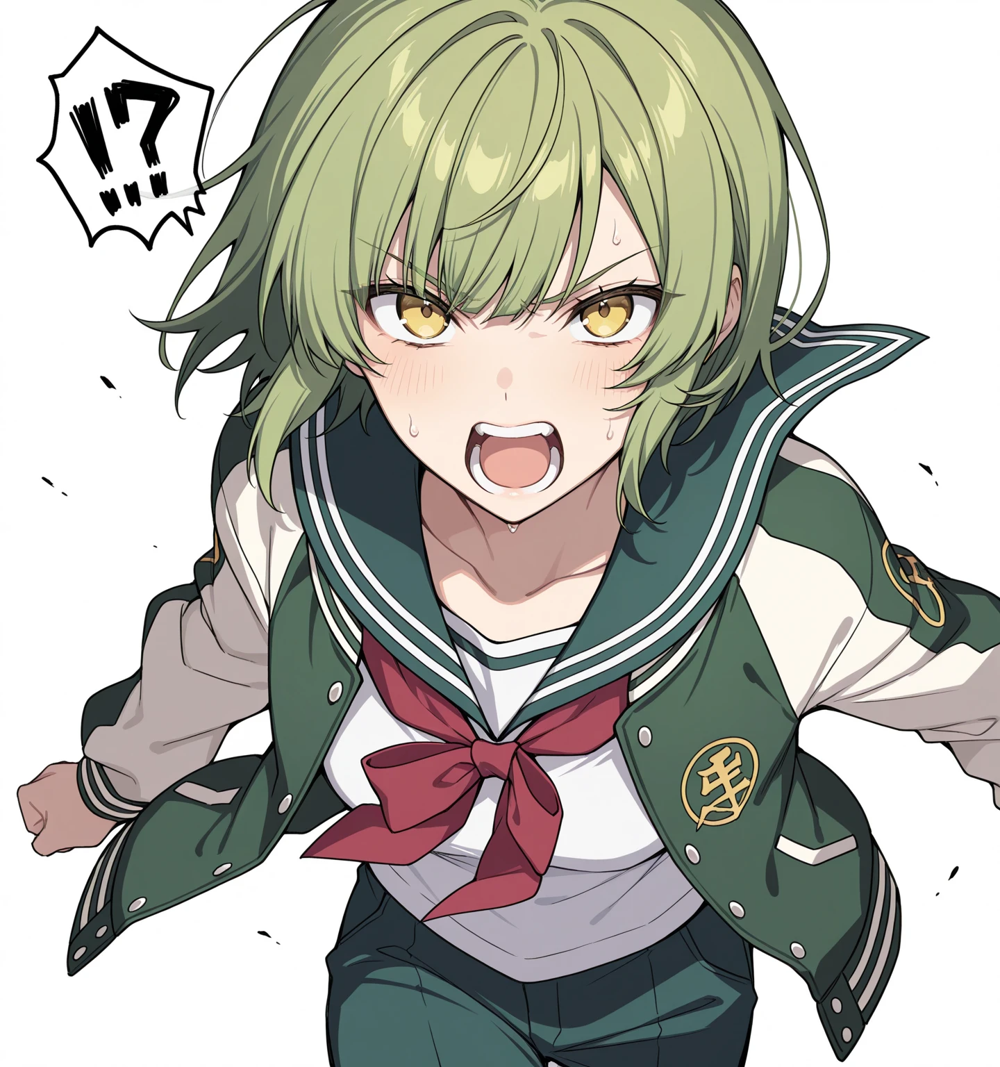 score_9, score_8_up, score_7_up, score_anime, nai3, high resolution image, masterpiece, best quality, anime, 1girl, girl, green hair, yellow eyes, solo, short hair, serafuku, side bangs, looking towards viewer white background, clear eyes, letterman jacket, Tapered pants, half body, yelling, angry eyes, standing