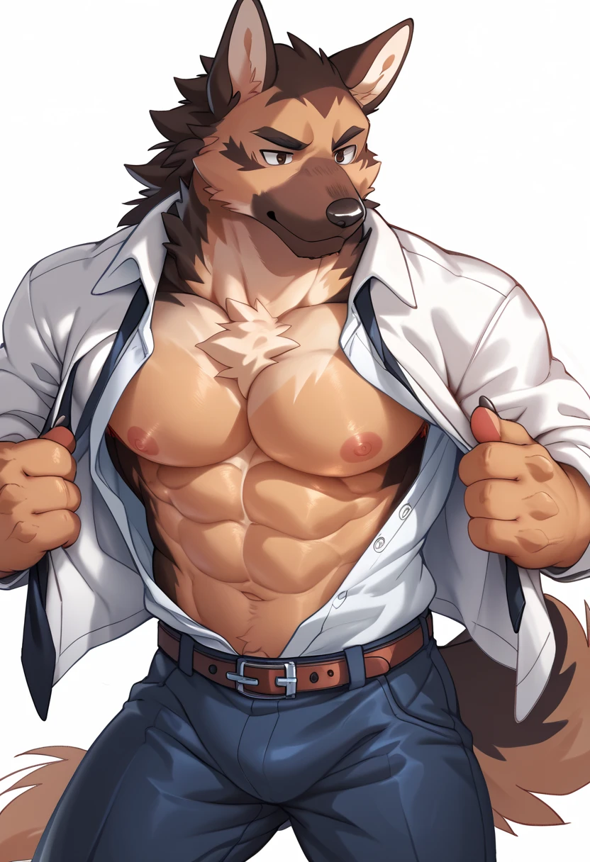 Wolf, By Haps, Big Pecs, Abs, 1boy, abs, animal ears, bara, bare pectorals, between pectorals, black male underwear, briefs, bulge, eyepatch, facial hair, furry, furry male, grey fur, hand on own head, large pectorals, looking at viewer, lying, male focus, male pubic hair, male underwear, male, muscular, muscular male, navel, navel hair, necktie, nippleants, open clothes, open shirt, pectorals, pubic hair, shirt, short hair, smile, solo, stomach, tail, thick thighs, thighs, underwear, wolf boy, wolf ears, wolf tail