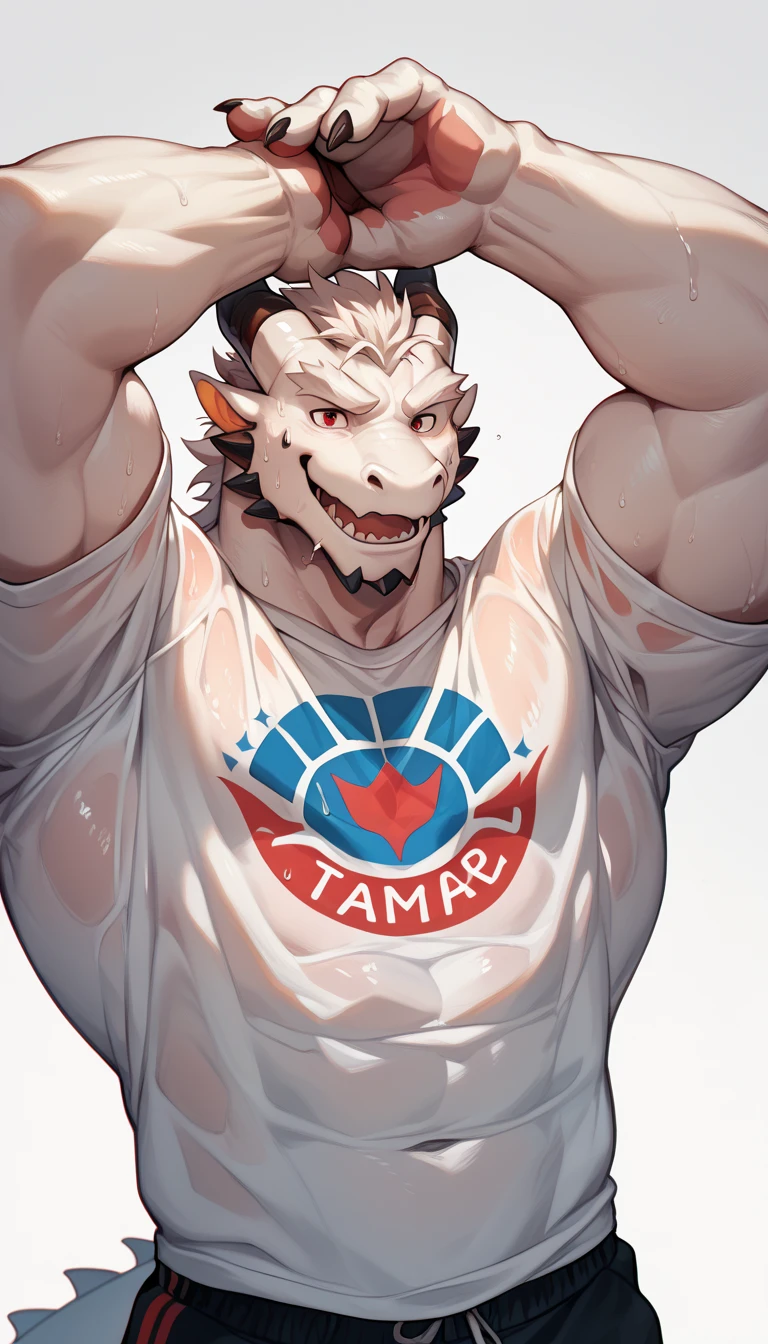 anthro: red dragom, male, drak red hairy chest, all body sweating, muscular, semen, realistic, horny face, blush, cum, town street Crowded, ahegao see through Large crotch erected bulge jockstrap, by nullghost, by lindong, (erected fundoshi), (magazine cover), with text, dildo, dildo advertising,