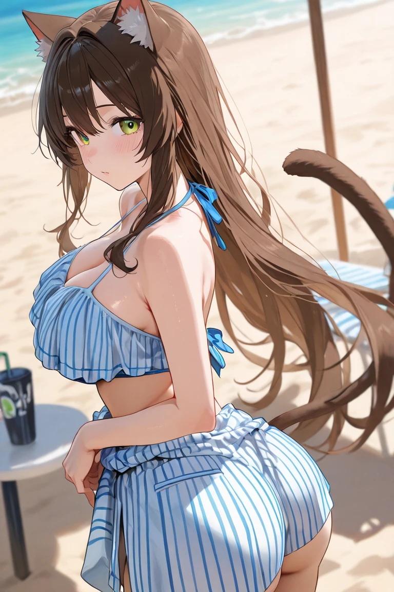 Group of feral catgirls at the beach, (feral cat:1.3), (fur covered body:1.2), detailed fluffy fur, big ears, long noses, fluffy tails, cute swimwear