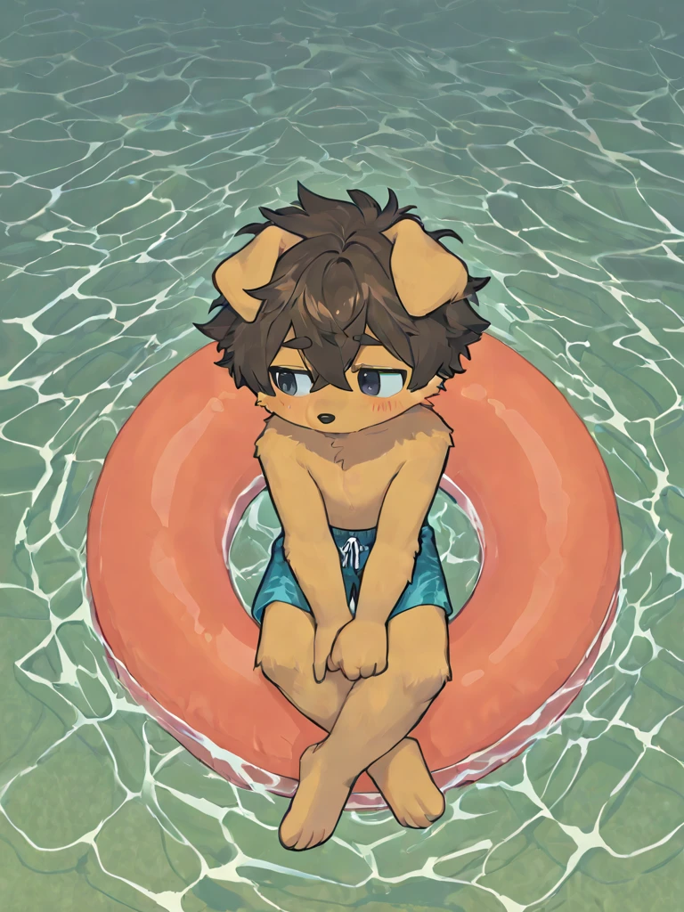 hairy,Shota,swim,(best quality),(masterpiece),Wear only transparent thongs,no shirt,no coat,lying in water