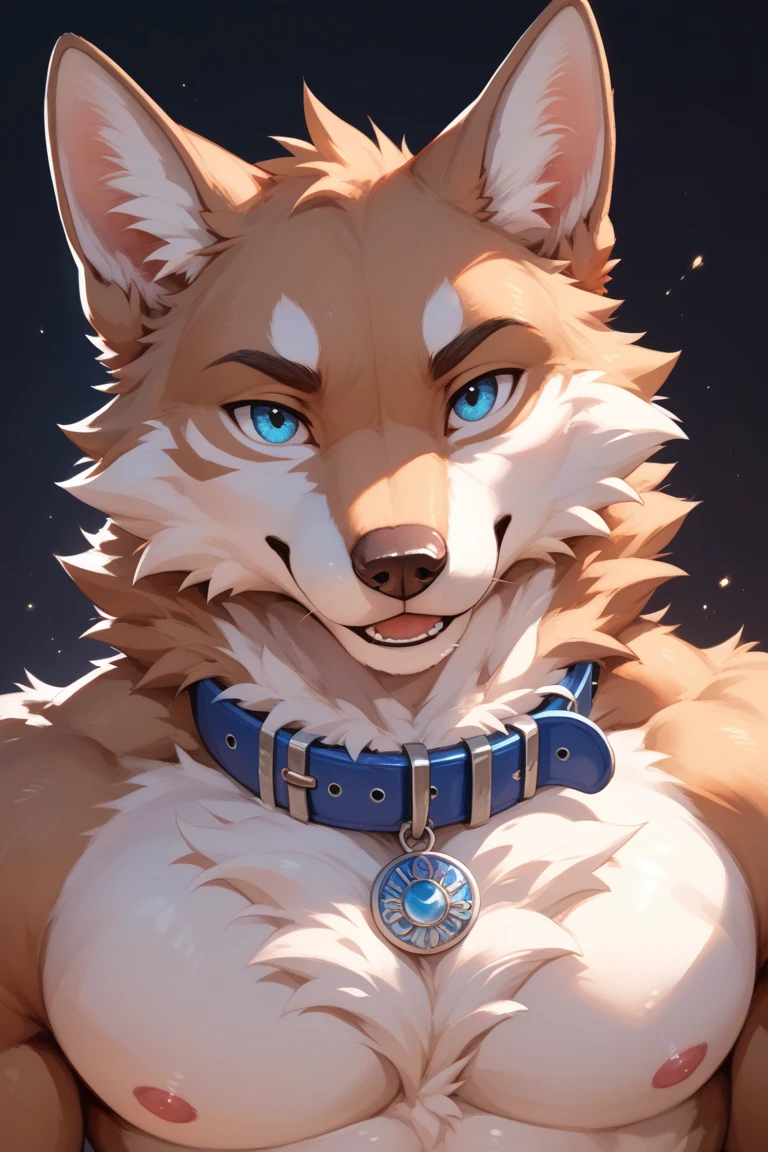 explicit furry artwork by majmajor,sheath anatomy,tuft,very fluffy,werecanid,collar, sheath shot