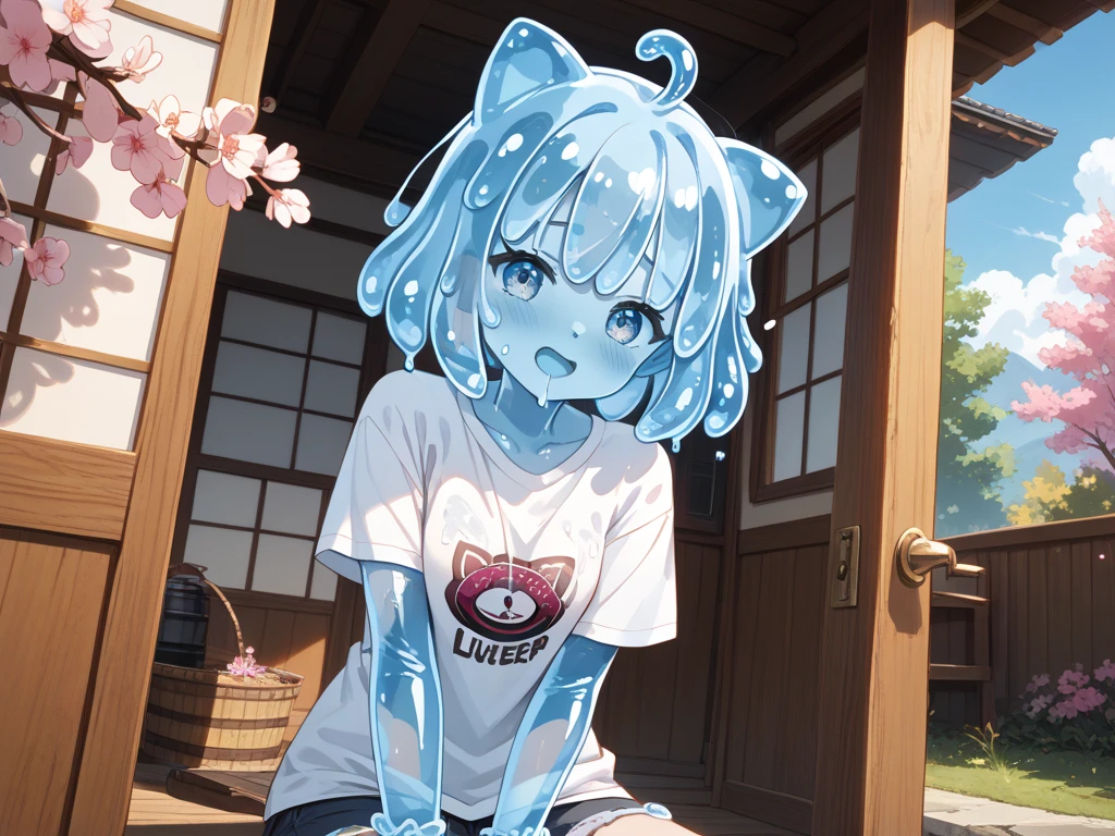 Slime Translucent Human A cute, female slime monster girl composed entirely of translucent blue ...