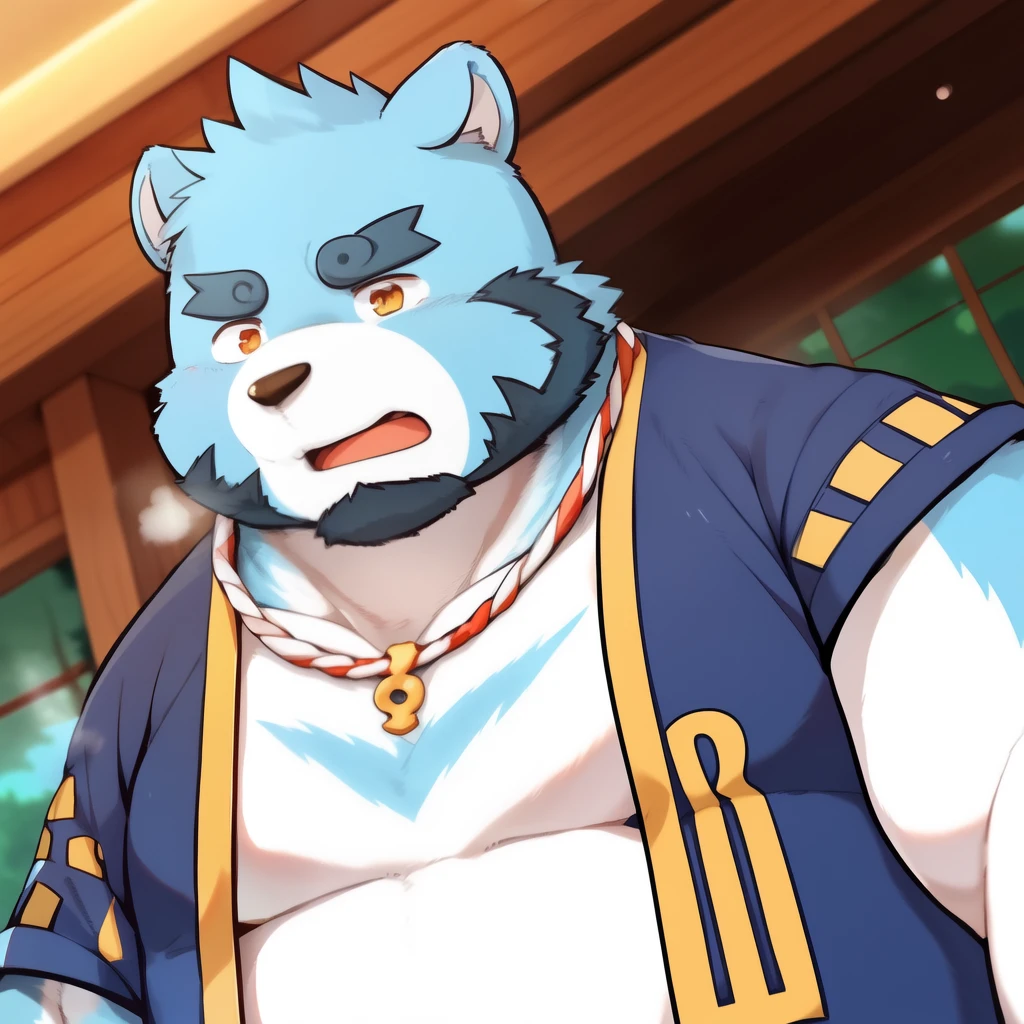 (kemono:1.2),furry,shiquanjie,blue bears, solo