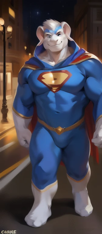 a solo pokemon arcanine ((male) (anthro) (canine), (muscular), hi res, soft shading, ( detailed fur 1.1 ), (smirk expression), ( solo 1.1) (detailed), (masterpiece: 1.2), ( full body head to toe show), ( red and blue bodysuit) (spandex superman costume: 1.1), (tight), (red speedo), (red cape), (red boots), bulging, genital outline, bulge, looking at viewer, bedroom eyes, detailed blue eyes, at house backyard, by chunie
