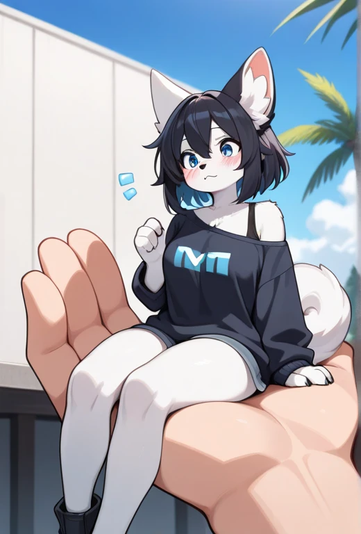 (masterpiece, best quality:1.2) wolf black ears, wolf tail, poker face, sit, swimming suit, coming out of the pool