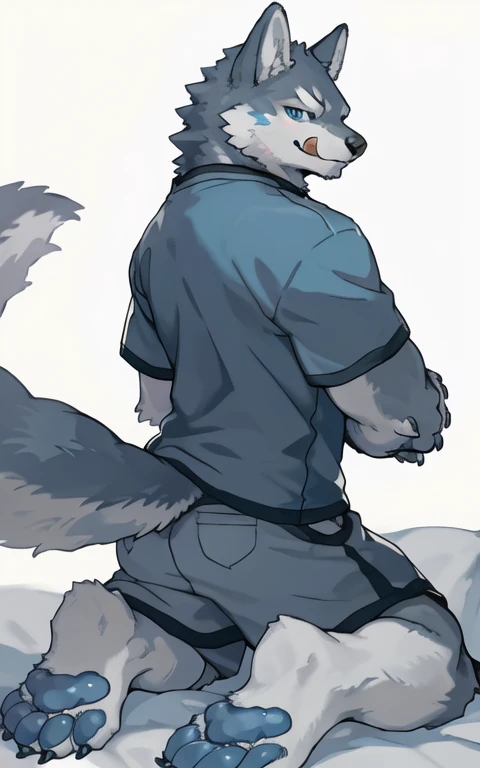 Giant bulge