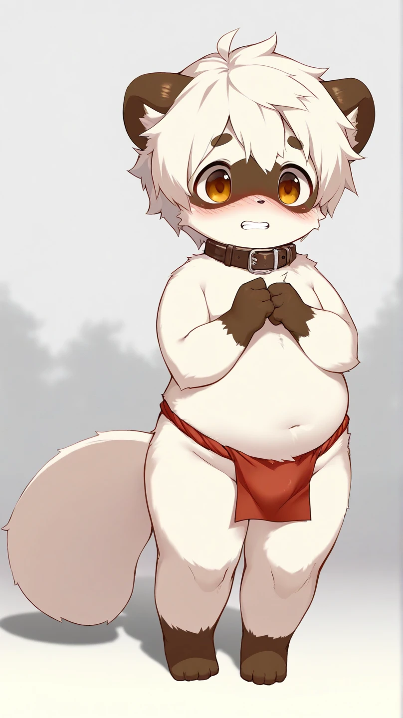 Kemoshota, navel, womb tattoo, nipples, navel, collar, belt, male prostitute, sweat, sweat drops, paw pose, squat,dynamic angle