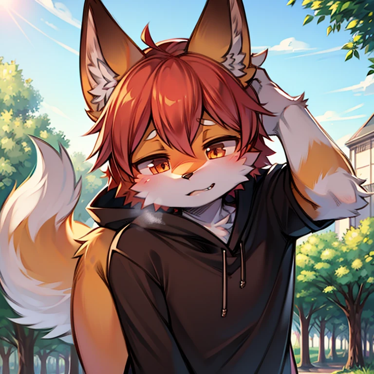 fox boy,Red Hair,8k resolution,high resolution,最high resolution,Red collar,Wearing a black and white hoodie!