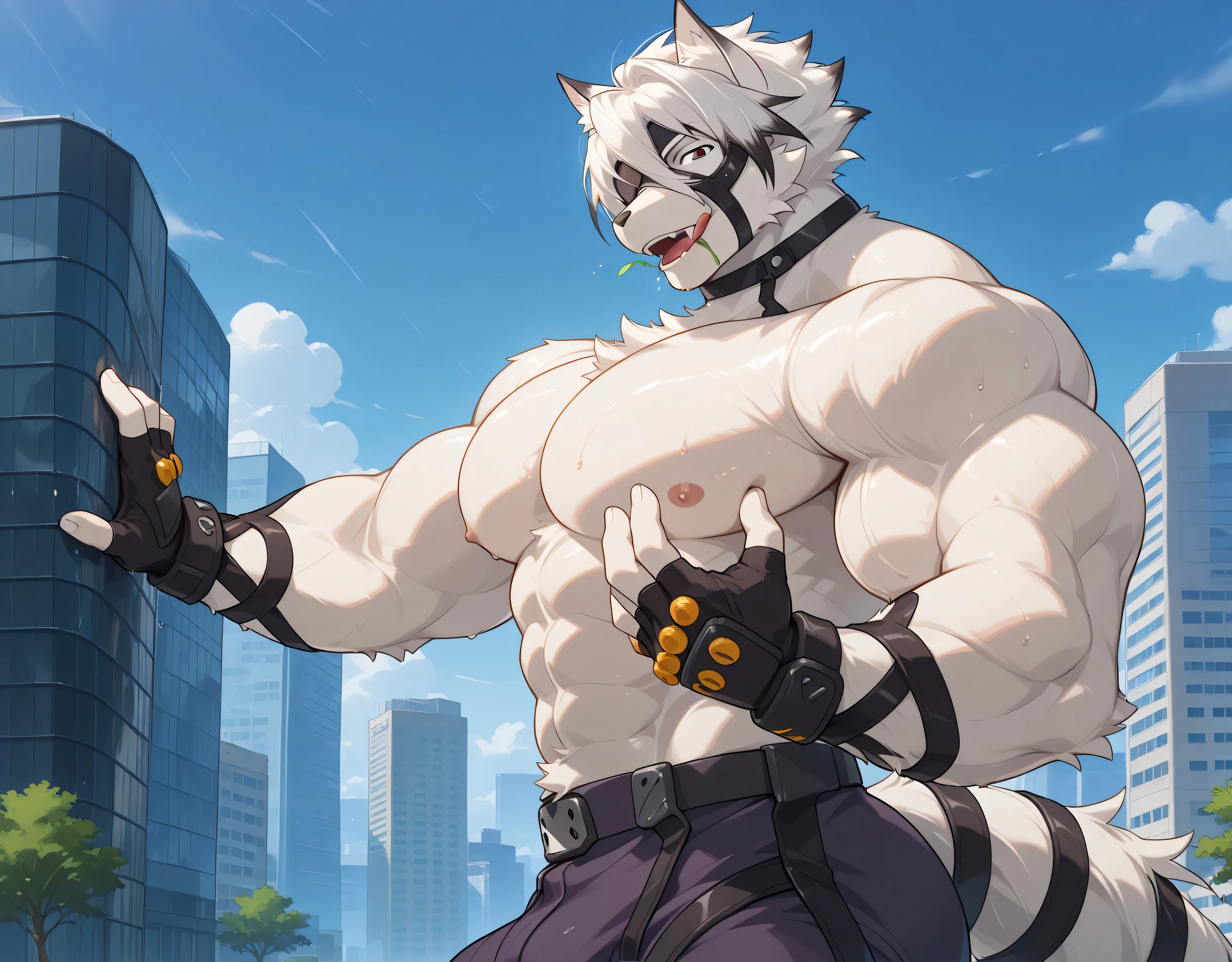 detailed background, side view, city, upper body shot, solo BREAK score_9_up,score_8_up,score_7_up,score_6_up,score_5_up,score_4_up BREAK kemono, bara, furry, 1boy, Lycaon, white fur, white hair, animal ears, tail, eye patch, red eyes, male, ripped clothing, huge muscular, male, broad chest, broad pectorals, broad shoulders, thick arms, thick legs, macro, posing, bedroom eyes, serious, licking his lips, smile, open mouth, fangs in mouth, groping himself, sweaty, topless, huge bulge in pants, looking at viewer
