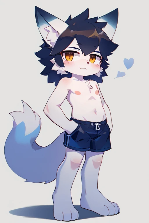 White Wolf，boy，individual，blue eyes，All white，Shirtless，Distressed black swimming trunks，smooth fur，Standing，shy