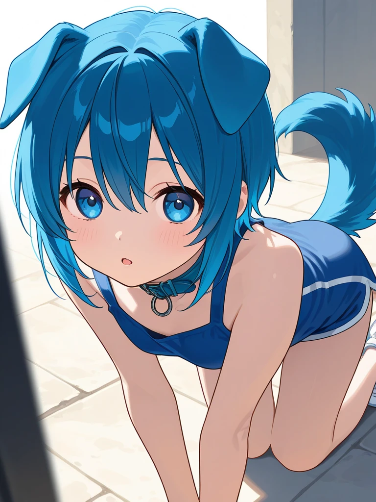 (masterpiece, best quality),, close-up face, (from front:1.2),bright blue hair、medium long hair、twin tails、 (on all fours on the floor:1.2), (looking down:1.2), break girl, casual,Gym suit、Wearing a jersey、school gym、 (bra:1.2), breast gap, medium breasts, hanging breasts, downblouse,Nipples are visible、Not wearing a bra、Leaning forward、８K, highest quality, masterpiece, super detailed、bright blue hair、medium long hair、twin tails、young face、17 years old、full lips、Pale blue eyes、、blush、lipstick、medium breasts、perfect hands、detailed hands、Smile、smile、gymnastics matの上、gymnastics mat、Gym suit,Wearing a jersey、Wearing spats