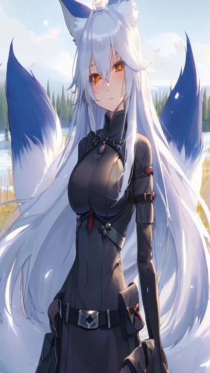 high resolution, kitsune, fox girl, anime, busty, silver white hair and fur, silver fox ears, silver fox tails, mage, spell caster, fantasy mage clothing, full body, , character reference sheet, solo, long hair, sfw, vtuber, beautiful, white background, open eyes, standing, tall,