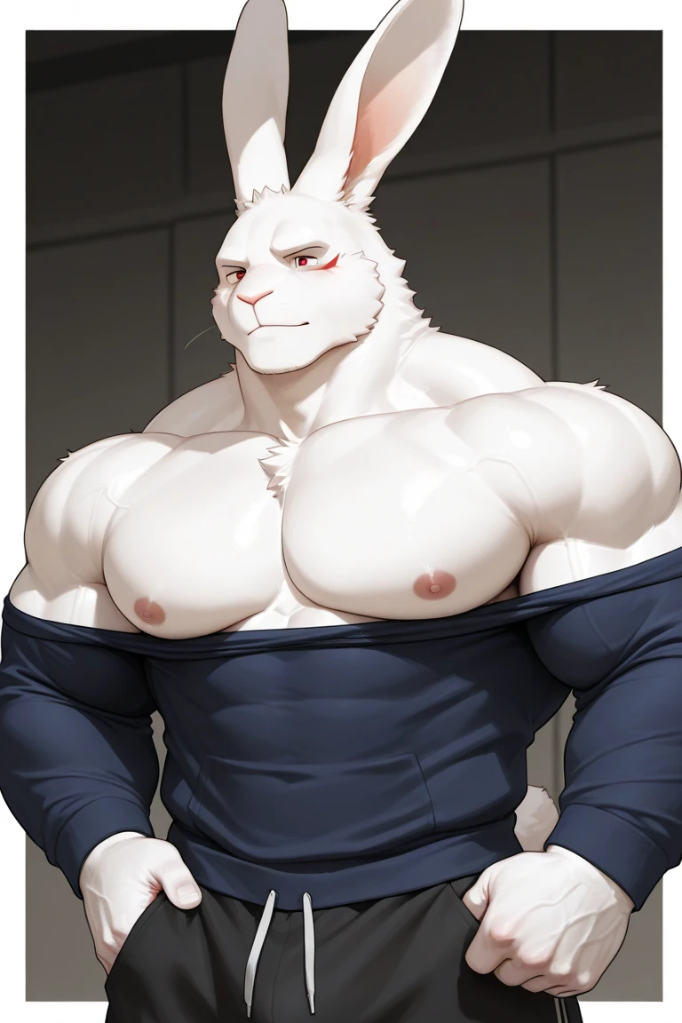 Solo, male, Medium muscular, rabbit, light gray, light gray rabbit, rabbit in underwear, white underwear, underwear in one color, white color, all white underwear, long ears, from back, back view, posing, with short tail, tail, rabbit tail, bunny, bunny tail, anatomy, good anatomy, perfect anatomy, male anatomy, perfect body, ((focus body, furry focus, shades focus, body shades)) (((gray background, gray wallpaper, one color))), by darkgem, by mystikfox61, by glitter trap boy