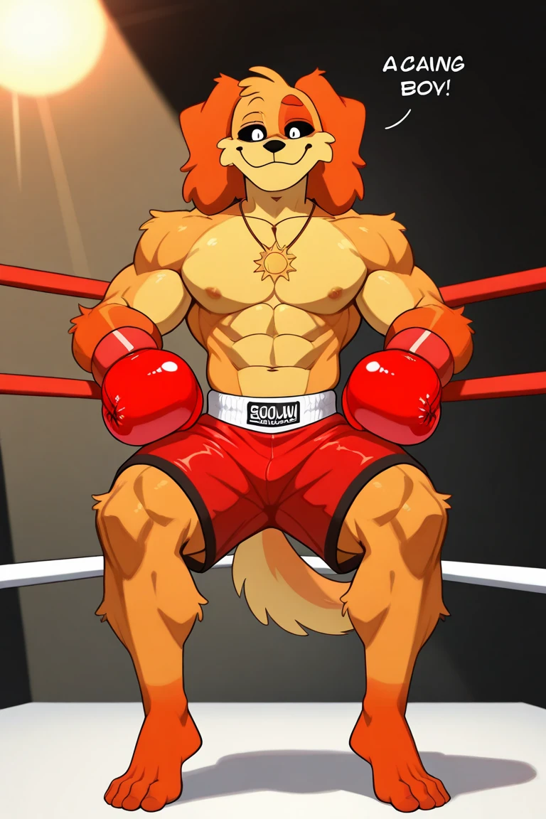 anime style, Sozinho, Dog day, peludo, orange fur, macho, with macho humanoid body,  slightly muscular body , Adulto, Sozinho, black sclera,  large oval-shaped white iris , (sem pupilas),  showing your legs,  showing her feet,  showing off your full look  , calm, feliz, [Kind Face, Sensual, cauda longa, font, Sun-shaped necklace, lutar boxe, wearing red boxing gloves, wearing red boxing shorts, (sem topo), iconic professional boxing scene, 4k,