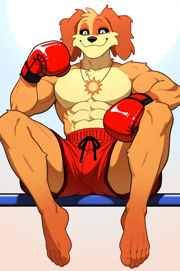 anime style, Sozinho, Dog day, peludo, orange fur, macho, with macho humanoid body,  slightly muscular body , Adulto, Sozinho, black sclera,  large oval-shaped white iris , (sem pupilas),  showing your legs,  showing her feet,  showing off your full look  , calm, feliz, [Kind Face, Sensual, cauda longa, font, Sun-shaped necklace, lutar boxe, wearing red boxing gloves, wearing red boxing shorts, (sem topo), iconic professional boxing scene, 4k,