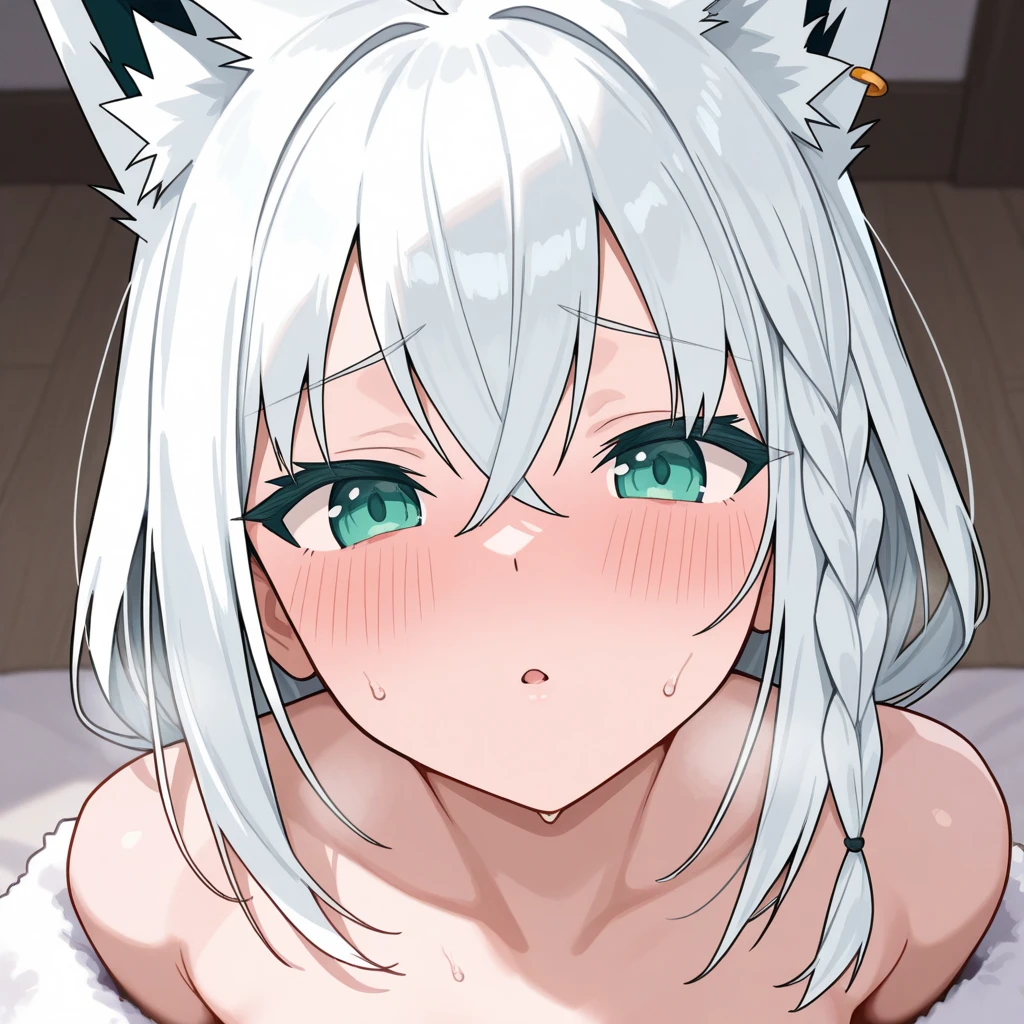 1 girl,Solo,tan,White hair,red eyes,wolf hair,breasts focus,topless,light areola
wolf girls,Androgynous,big breast
best quality,very aesthetic,absurdres,pov,looking at viewer,front view,