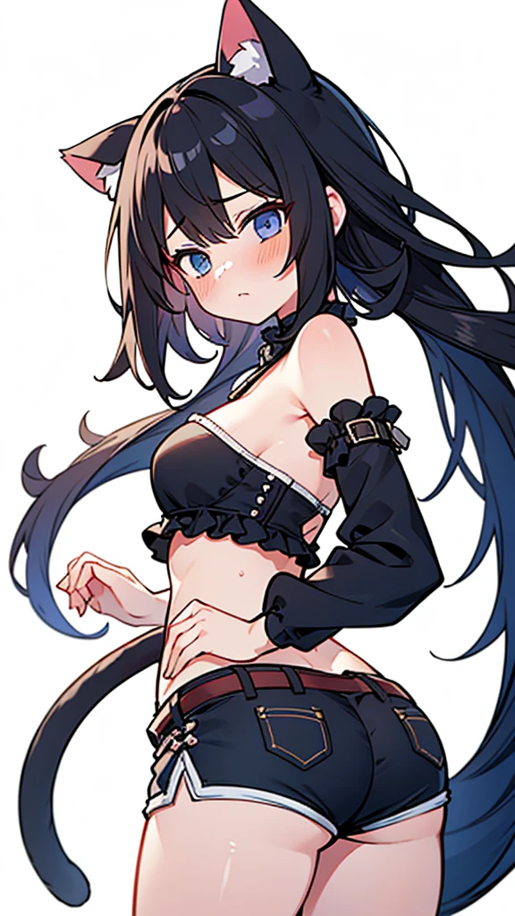 tits、bra、areola protrudes