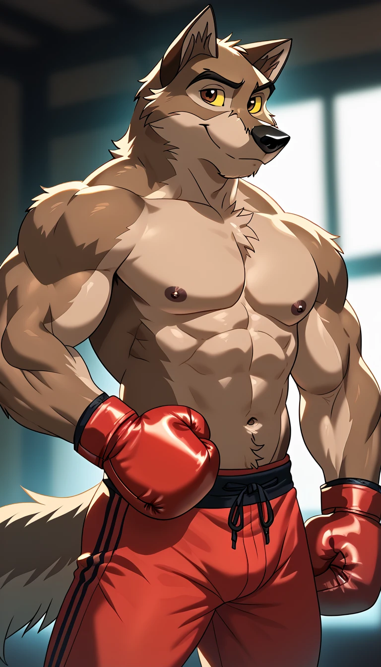 ((best quality)), ((masterpiece)), (detailed), perfect face, Furry, 24 years old, size 12.5 feet, Anthropomorphic wolfdog, 70% Wolf, 25% Tamaskan wolfdog, 5% Dingo, 6'7 and 233 lbs, 50" Chest, 21" Shoulders, 17" Biceps, 36" Waist, 25" thighs, 17" calves, 20" back, orange fur, red fur on tips of his ears, red fur at the end of his tail, red hair, mohawk hairstyle, red eyes, shirtless, wearing black leather jockstrap, flame pattern on jockstrap, 7" bulge, defined genitalia, bulge outline, barefoot, wearing black bandana around forehead, wearing red boxing gloves, eight abs, well defined abs, flexing bicep, on hand hip, smirking, looking proud, acting cocky, gym scene, dynamic lighting, perfect shading, soft shading, soft colors, vivid colors, pastel colors 