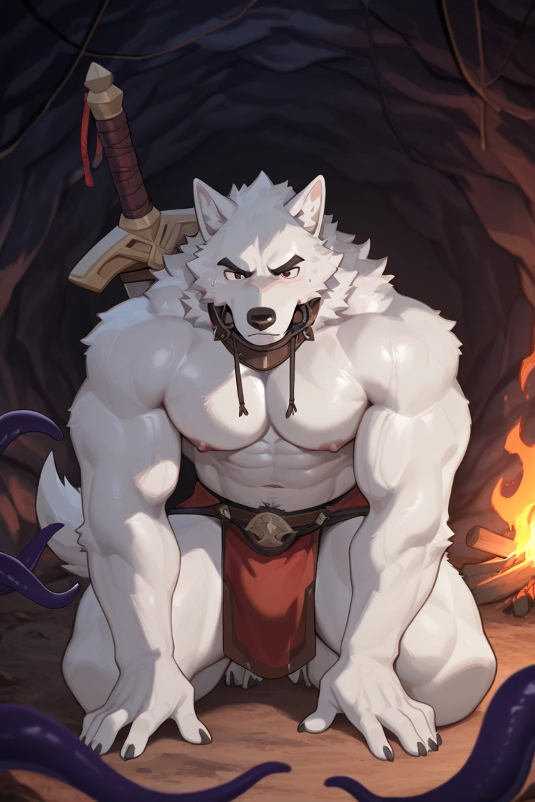 man，White wolf，Dungeon Background，Only wearing，kneel