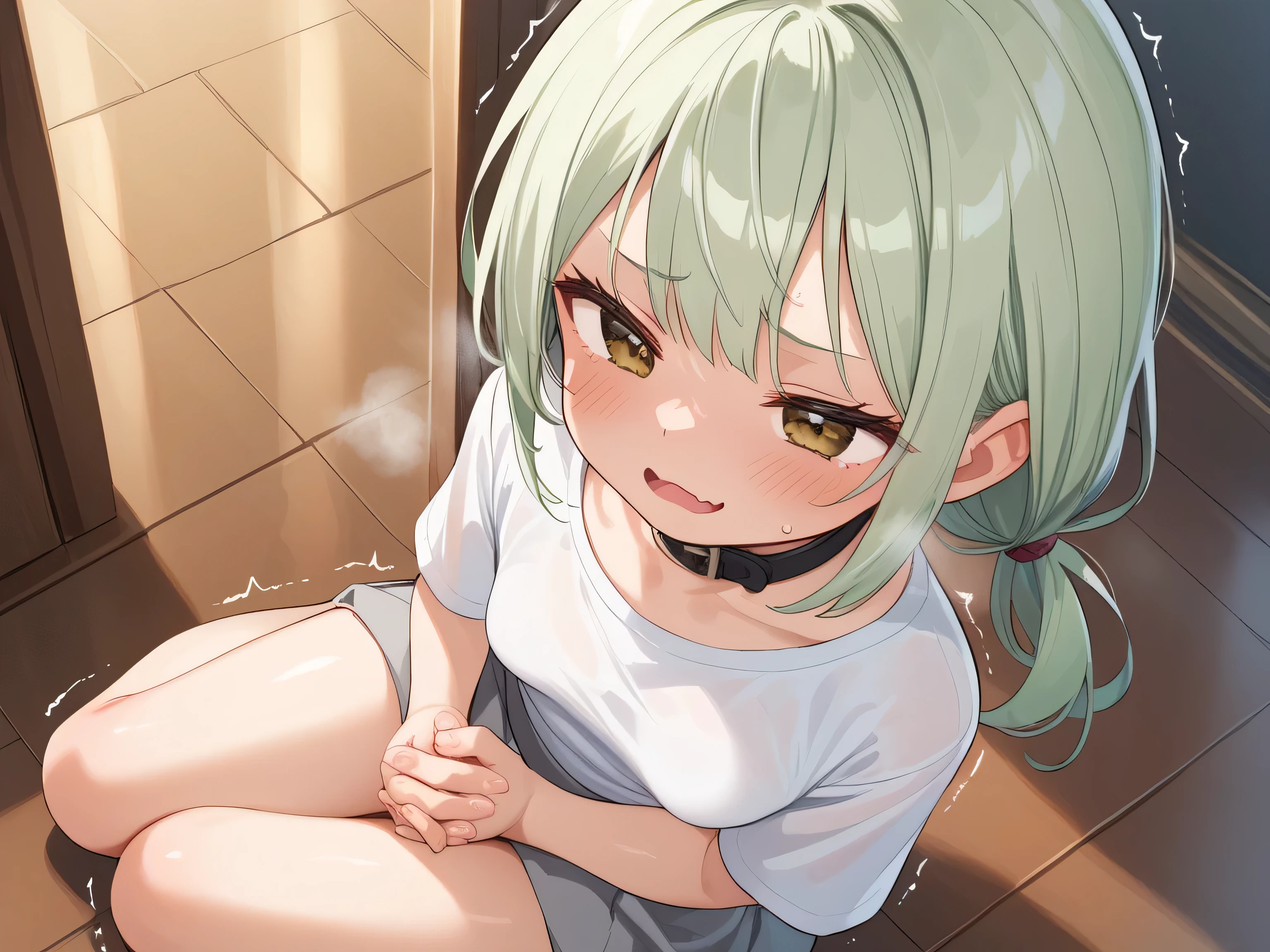 NSFW, masterpiece, 1 girl, small sized breasts, small sized breasts,  Grey Skirt,  white panties, White shirt, Short stature, low twin tails, (light green hair:1.3), Brown eyes, (Black collar),  The background is a dark laboratory, blush, smug, squinting eyes, frown, open mouth,  (steam:1.1), (trembling:1.1), She is sitting on the floor, (wariza), own hands together, She is looking at the audience, high angle,  BREAK ,score_9, score_8_up, score_7_up, (5 finger:0.8), shiny, shiny skin, shiny hair, soft body,