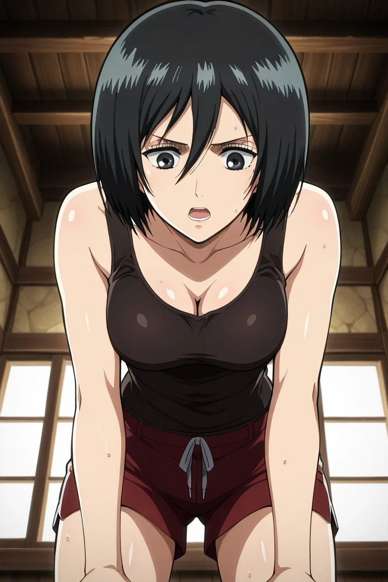 masterpiece,best quality,1girl,,mikasa ackerman,short hair between eyes,black dress,mature woman,tube dress,looking at viewer,short hair,cleavage