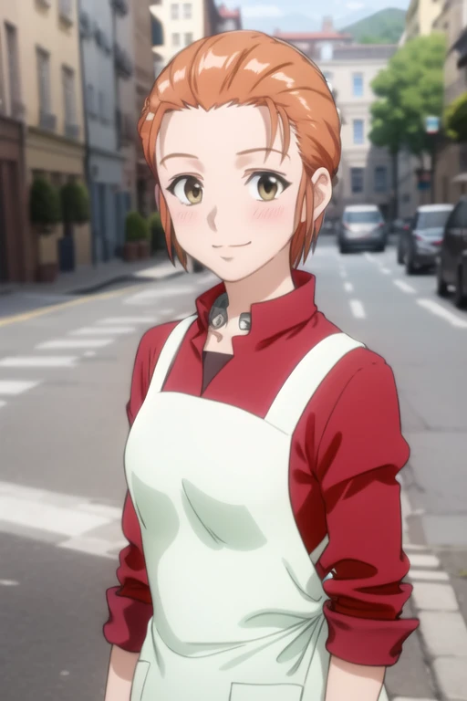 1girl, (masterpiece), (high resolution), (8K), (extremely detailed), (4k), (pixiv), perfect face, nice eyes and face, (best quality), (super detailed), detailed face and eyes, (solo), textured skin, absurdres, highres, 
BREAK
mitowz, long  skirt, short hair, orange hair, red shirt, long sleeves, yellow eyes, white apron, BREAK
standing, cowboy shot, looking at viewer, smile, blush, portrait, upper body, outdoors