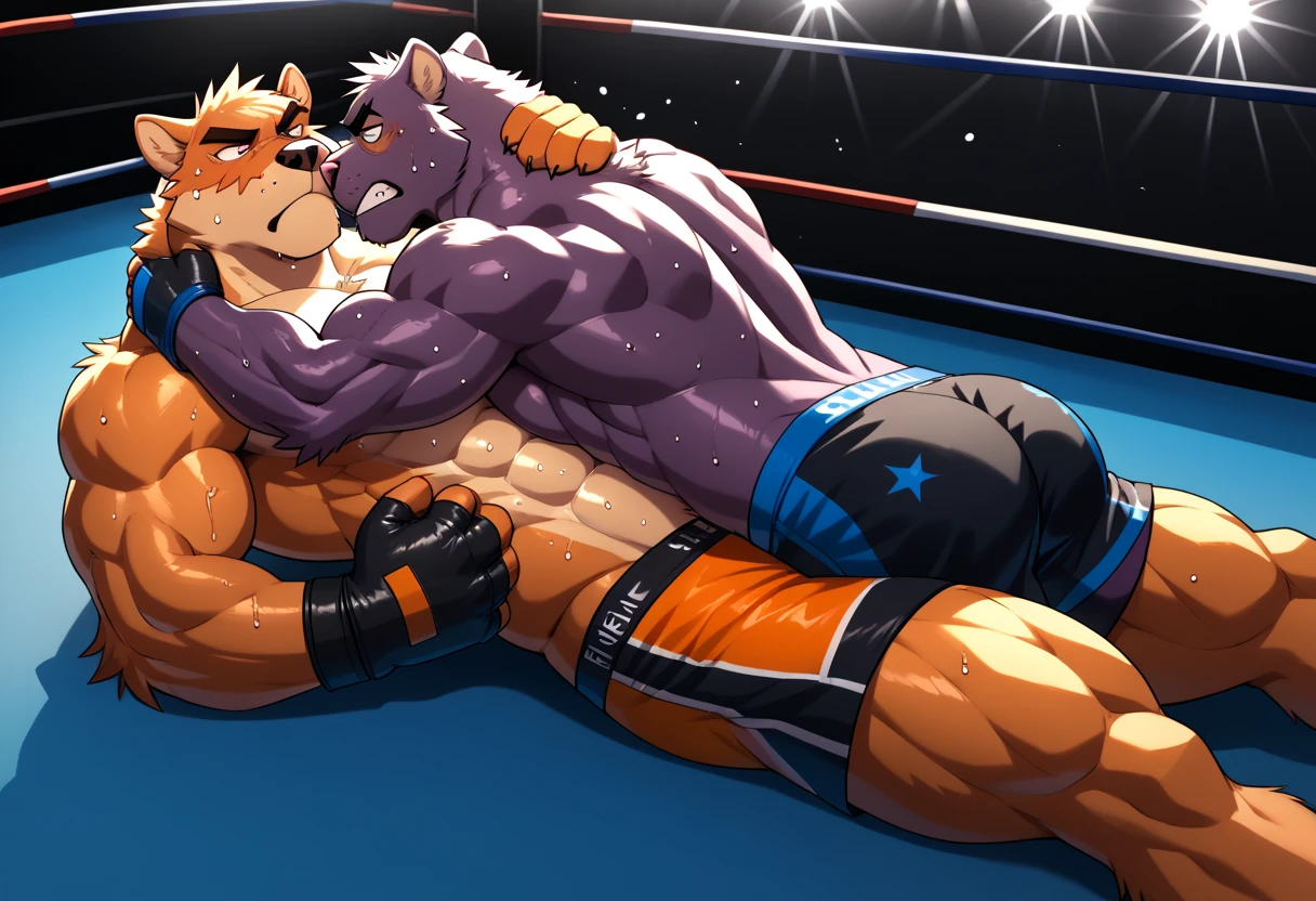Duo male(black soft Wolf vs Brown Wolf, handsomes, handsome hairstyle, tails, Thick eyebrows), gay(Lying down, cuddling embraced from behind, on a bed match), hot(Shirtless), handsomes(They are handsomes, correct anatomy), musculosos(Big muscle bodies, Six packs, muscle abs, big pecs, muscle backs, muscle legs), sweaty(very sweaty wet bodies, shiny sweat), tatuajes(they have tattoos), Grumpy(Both have an grumpy expression, growling, grumpy teeths, steaming breath), UFC gloves(They both are wearing UFC gloves), UFC boxers(They both are wearing UFC boxers), Hight resolution, by(Zourik:1.1)